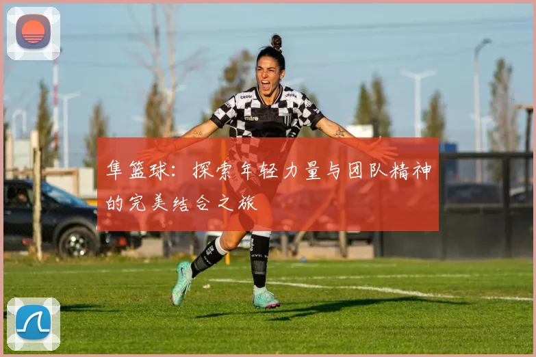 隼篮球：探索年轻力量与团队精神的完美结合之旅
