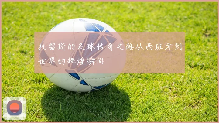 托雷斯的足球传奇之路从西班牙到世界的辉煌瞬间