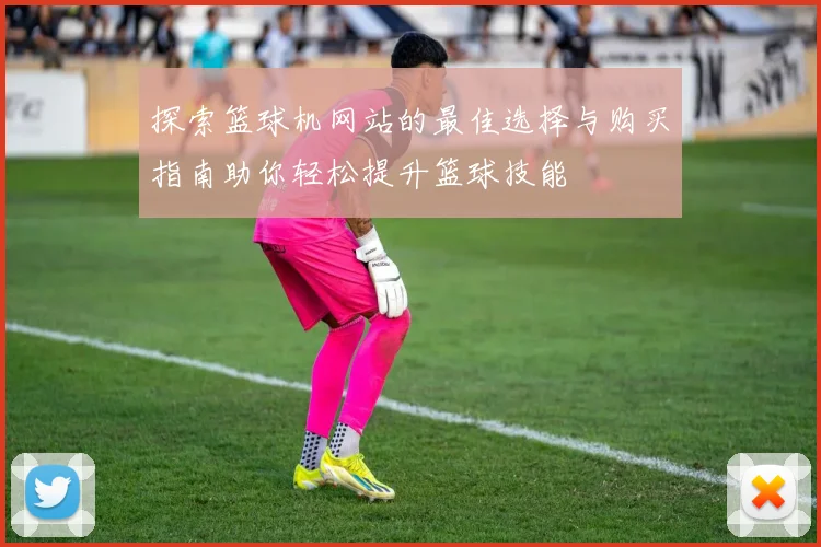探索篮球机网站的最佳选择与购买指南助你轻松提升篮球技能