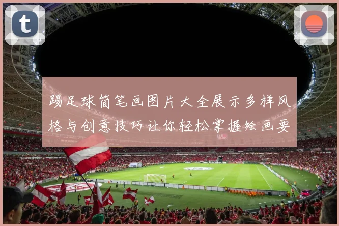 踢足球简笔画图片大全展示多样风格与创意技巧让你轻松掌握绘画要领