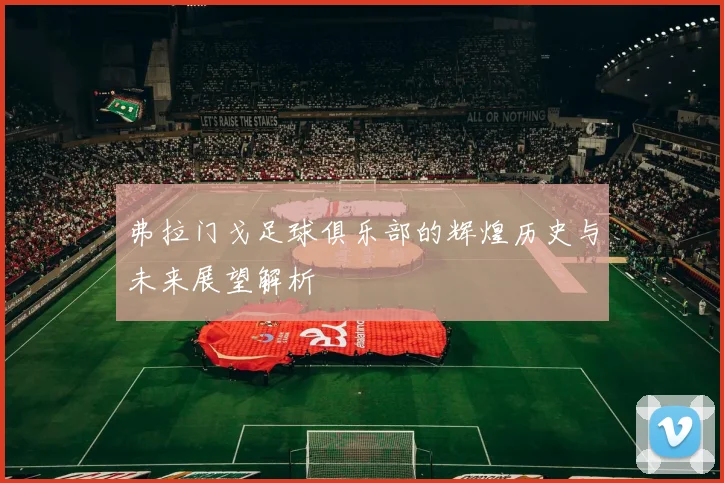 弗拉门戈足球俱乐部的辉煌历史与未来展望解析