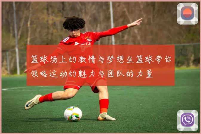 篮球场上的激情与梦想坐篮球带你领略运动的魅力与团队的力量