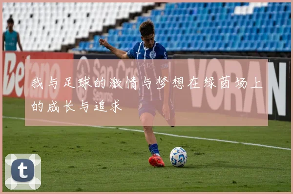 我与足球的激情与梦想在绿茵场上的成长与追求